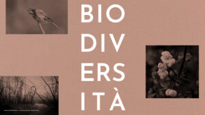 “Biodiversità: il motore della vita”, a Milano una mostra fotografica che ne esplora la complessità